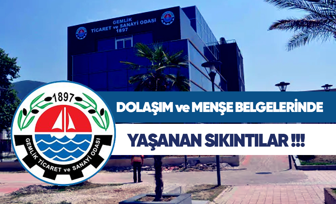STA Gümrük Müşavirliği